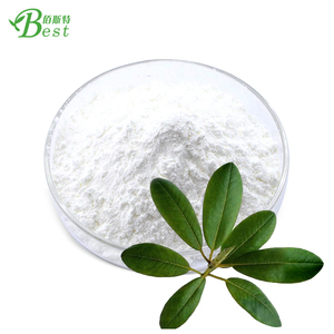 Ekstrak Daun Loquat Berkualitas Tinggi, Asam Ursolat Murni dalam Bentuk Bubuk, Harga Grosir, Bubuk Asam Ursolat 98% - Product Image 2