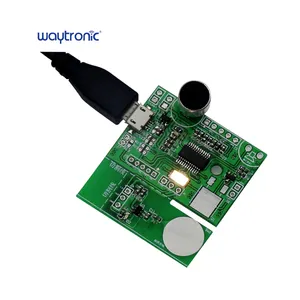 WTK6900M01 High Noise Reduction And High Recognition Long Distance MP3 Control Recording Voice Recognition Module