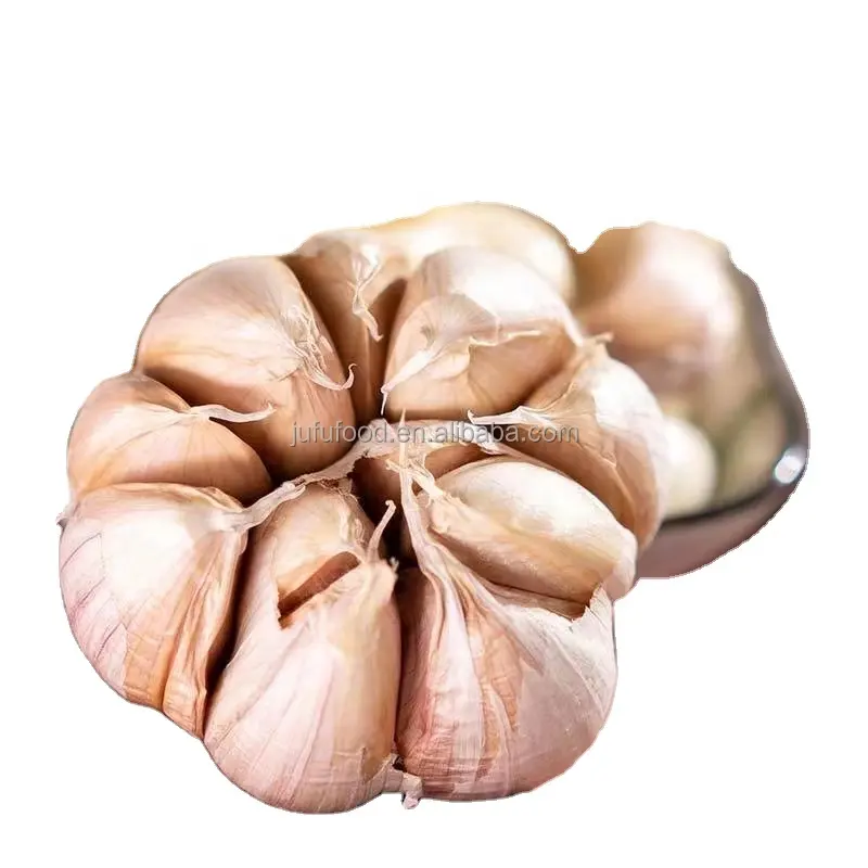 China fresh garlic for importers ajo blanco fresco de chino 10 kilos para colombia exportadores de china