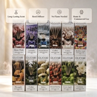 Diffuseur de parfum d'ambiance en verre de 50 ml avec bâtonnets, senteurs personnalisées de qualité, huiles essentielles, longue durée