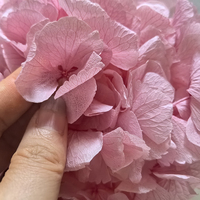Hortensia à grandes feuilles éternelles, fleur préservée, tête d'hortensia rose ronde de 15-20 cm, matériel floral pour mariage, pour vase, fournitures florales