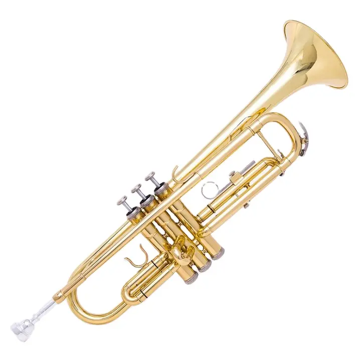 Brasswind Strumento Musicale chiave di Bb Tromba per i principianti