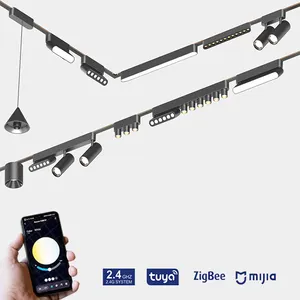 DGLUX Trilho embutido inteligente sem fio sem fio sem fio Tuya Wifi Ziggbe Bluetooth 24V Sistema Linear Dali LED Luz de Trilho Magnética