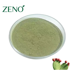 Extracto de Cactus Hoodia 100% Natural en Polvo, 99% Polvo de Cactus Opuntia Ficus Indica - Product Image 1