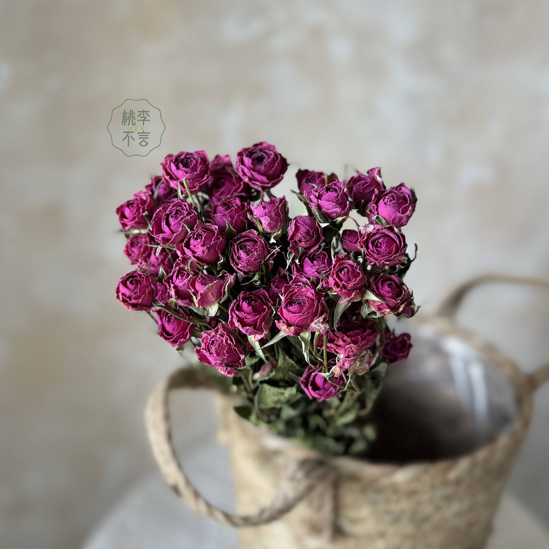 หัวดอกไม้โซฟี30ดอกขนาดเส้นผ่าศูนย์กลางประมาณ1-2ซม.