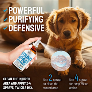 <span class=keywords><strong>Spray</strong></span> <span class=keywords><strong>cicatrisant</strong></span> pour <span class=keywords><strong>animaux</strong></span> de compagnie - Soin cutané, soulagement des démangeaisons et traitement des points chauds pour chats et chiens - Chine - Product Image 5