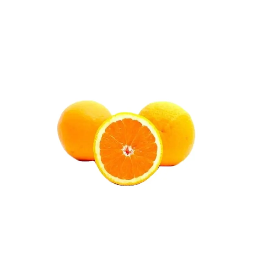 Obst frische Art Zitrone Produkt frische Orangen Nabel Orange zum Verkauf Valencia Orangen frische Orange