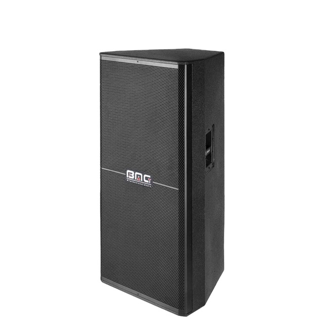 BMG  Spk-000026 High Quality OEM Logo Speaker Box Line Array System