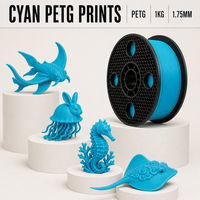 Filament PETG 1 kg pour impression 3D, bobine de 1,75 mm pour modèles/prototypes/pièces d'impression FDM/imprimantes Bambu, noir, 200-240°C
