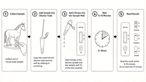 Kit per Test Rapido dell'Antigene Salmonella Abortus Equi, Screening in 15 Minuti per la Prevenzione degli Aborti nelle Cavie, Grado Professionale per Allevamenti - Product Image 3