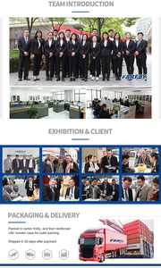 Farfly中国-地板油漆实验室溶解器SDF400 - Product Image 4