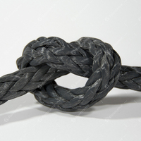 Corde UHMWPE à 12 brins, haute résistance, légère, résistante à l'abrasion, pour l'amarrage maritime, la pêche et les applications offshore