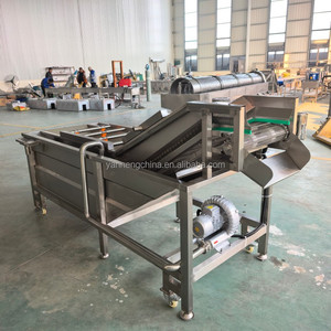 500kg/h <b>Top</b> Quality Fruit and Vegetable Processing Line Vegetable Washing Machine <b>Bubble</b> Vegetable Washing Machine On Sale - Product Image 3