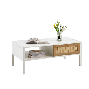 Table basse en rotin avec pieds en métal blanc, 40,16 pouces, style moderne, rangement pour salon, porte coulissante - Product Image 4