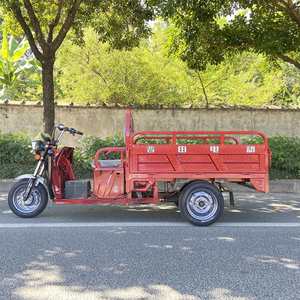 Elegant 90Km <b>Range</b> Trishaw for City and Countryside Three Wheel Tricycle - Product Image 5