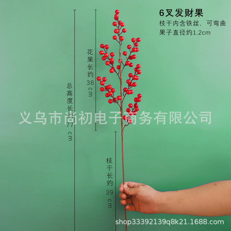 ผลไม้แห่งโชคลาภ 6 แฉก