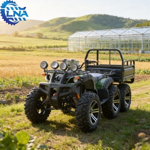 LNA pretty <strong>fast</strong> 6 wheeler ce certificated 250cc farm <strong>quad</strong> <strong>bike</strong> - Product Image 1