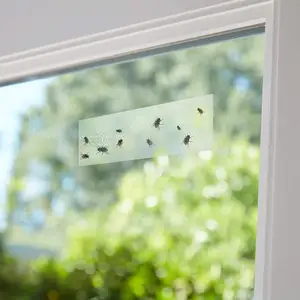 Chất lượng cao Trung Quốc trong suốt trái cây ruồi Fly Sticky Sticker Board bẫy cho cửa sổ