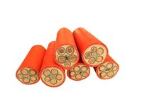 Cable de Alimentación de Baja Emisión de Humo, Sin Halógenos, con Conductor de Cobre, Clasificación IP68, BTTZ/BBTRZ/YTTWZ, para Uso Industrial y en Centrales Eléctricas