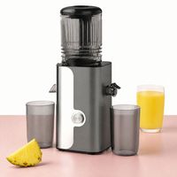 Extracteur de jus à froid silencieux 200W 600ML avec séparation jus et pulpe, directement de l'usine (OEM/ODM) pour les revendeurs d'appareils de cuisine
