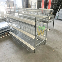 Cage à poulets automatique galvanisée anti-rouille de type A/H à 4 niveaux avec mangeoire, équipement d'élevage avicole