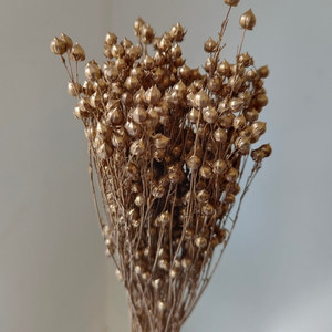 <span class=keywords><strong>Bouquet</strong></span> de <span class=keywords><strong>fleurs</strong></span> <span class=keywords><strong>séchées</strong></span> et préservées Rich Beans 16 couleurs 50g et lots d'artisanat pour la Fête des Mères - Product Image 6