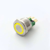 Interrupteur à bouton-poussoir lumineux en acier inoxydable ELEWIND 22 mm, 24 V, momentané, tension maximale 220 V, pour l'éclairage