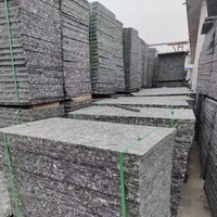 Palette Zhongke GMT pour machine à fabriquer des blocs de béton et de cendres volantes