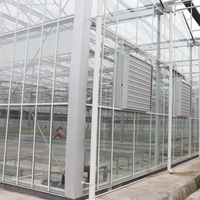 Serre en verre à travées multiples MYXL Système hydroponique Serre agricole à vendre