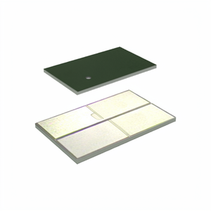 FC6B22160L1 Buy Online Electronic Components Original One Stop Service 6 SMD, No Lead Power Management (PMIC) - Product Image 1