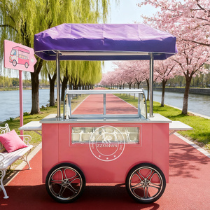 ZZKNOWN KN-JA Mobile Ice Cream Display <strong>Cart</strong> with Freezer for Outdoor &amp; <strong>Indoor</strong> Use <strong>Food</strong> Service Equipment - Product Image 2