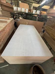 Fabricant <span class=keywords><strong>de</strong></span> contreplaqué d'eucalyptus, âme en pin moderne, <span class=keywords><strong>qualité</strong></span> supérieure, feuille résistante à l'eau, 8 pieds x 4 pieds (épaisseur 15 mm), sans formaldéhyde - Product Image 6