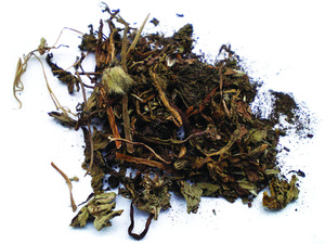 Wu Wei Xiao du <span class=keywords><strong>WAN</strong></span> 100 viên nang 450mg (tỷ lệ chiết xuất thảo dược 5:1) năm thành phần thuốc để loại bỏ độc tố - Product Image 4