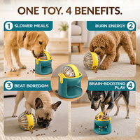 Offre Spéciale : Distributeur de friandises 2-en-1 pour chien, balle de puzzle anti-ennui pour animaux de compagnie