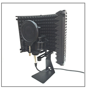 Teyun <span class=keywords><strong>2025</strong></span> OEM tùy chỉnh microphone đứng chất lượng cao Microphone đứng với âm nhạc chủ ghi âm đứng Microphone - Product Image 6
