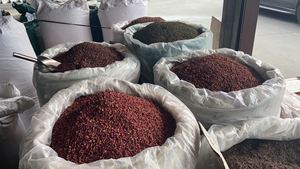 Olesale ICES PICES & ERBs Products Ried Coriander EEDS holesale orioriander - Product Image 5