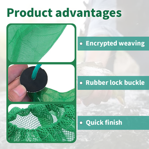 Sacs d'appât de pêche verts, boîte en caoutchouc pour la pêche au homard, aux crevettes, aux crabes, équipement et accessoires de pêche - Product Image 3