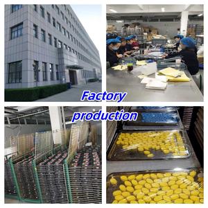 Uv huỳnh quang mặt sơn cơ thể sơn phát sáng trong bóng tối cho Halloween và các dịp khác - Product Image 6