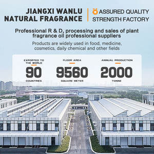 Premium Raffinierte Sheabutter - 100% Unparfümiert Kosmetikqualität, Großhandelslieferung für Körperpflegeprodukte - Product Image 2