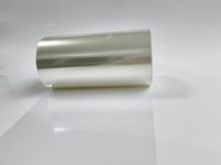 Película de PET Transparente para Desplazamiento, 12um-188um, en Rollo, con Tratamiento Corona y Fuerza de Desplazamiento Personalizada, para Fundición, Computación y Electrónica