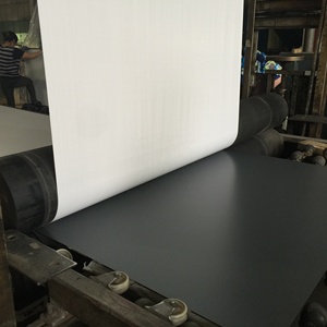 4MM 5MM 6MM Vinyl Back Cat <span class=keywords><strong>l</strong></span> Cat Ll Silver Aluminium Copper Free Mirror for Gym Floor Mirror - Product Image 2