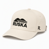 Gorras de Béisbol con Logotipo Personalizado, Gorra Estructurada de 5 Paneles, Bordada en Sarga de Algodón, para Hombres y Mujeres, para Senderismo al Aire Libre, Estilo Urbano Minimalista