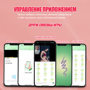 Mini vibromasseur sans fil à télécommande par application, portable, à porter dans les culottes, pour femmes, avec fonction de succion du clitoris et de stimulation du point G, jouet <span class=keywords><strong>sexy</strong></span> pour femmes et <span class=keywords><strong>couples</strong></span> - Product Image 5