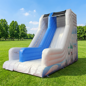 WINSUN Toboggan Gonflable Commercial en PVC pour Adultes et Enfants, Thème Parc d'Aventures Éducatif, Glissade Sèche pour Jardin - Product Image 1
