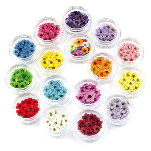 20pcs Natural <b>Dried</b> Flower Nail Stickers 17 Colors Japanese Style 3D Real <b>Petal</b> Decals for DIY Nail Decoration - Product Image 1