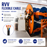 Cable Eléctrico Flexible de Cobre RVV 300/500V con Aislamiento de PVC y Revestimiento de PVC para Cableado de Control y Equipos