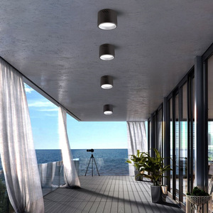 Focos LED de montaje abierto, luz de pasillo, luz de pasillo para el hogar, COB, supermercado, redondo, sin apertura, foco de techo - Product Image 4