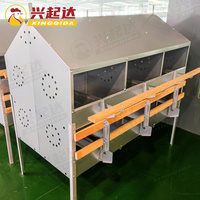 Nouveau nid de ponte de poulets automatique galvanisé à chaud avec collecte d'œufs Marque Xingqida Garantie 1 an 40kg