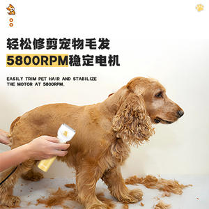 Cortadora eléctrica Kemei para mascotas, recargable, de bajo ruido, multifuncional, para el cuidado de gatos y perros, carga USB portátil - Product Image 4