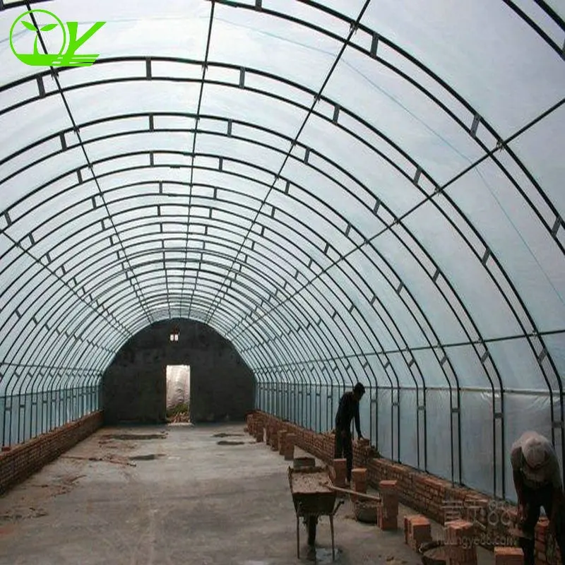 Poultry Farm Design Greenhouse single-span greenhouse